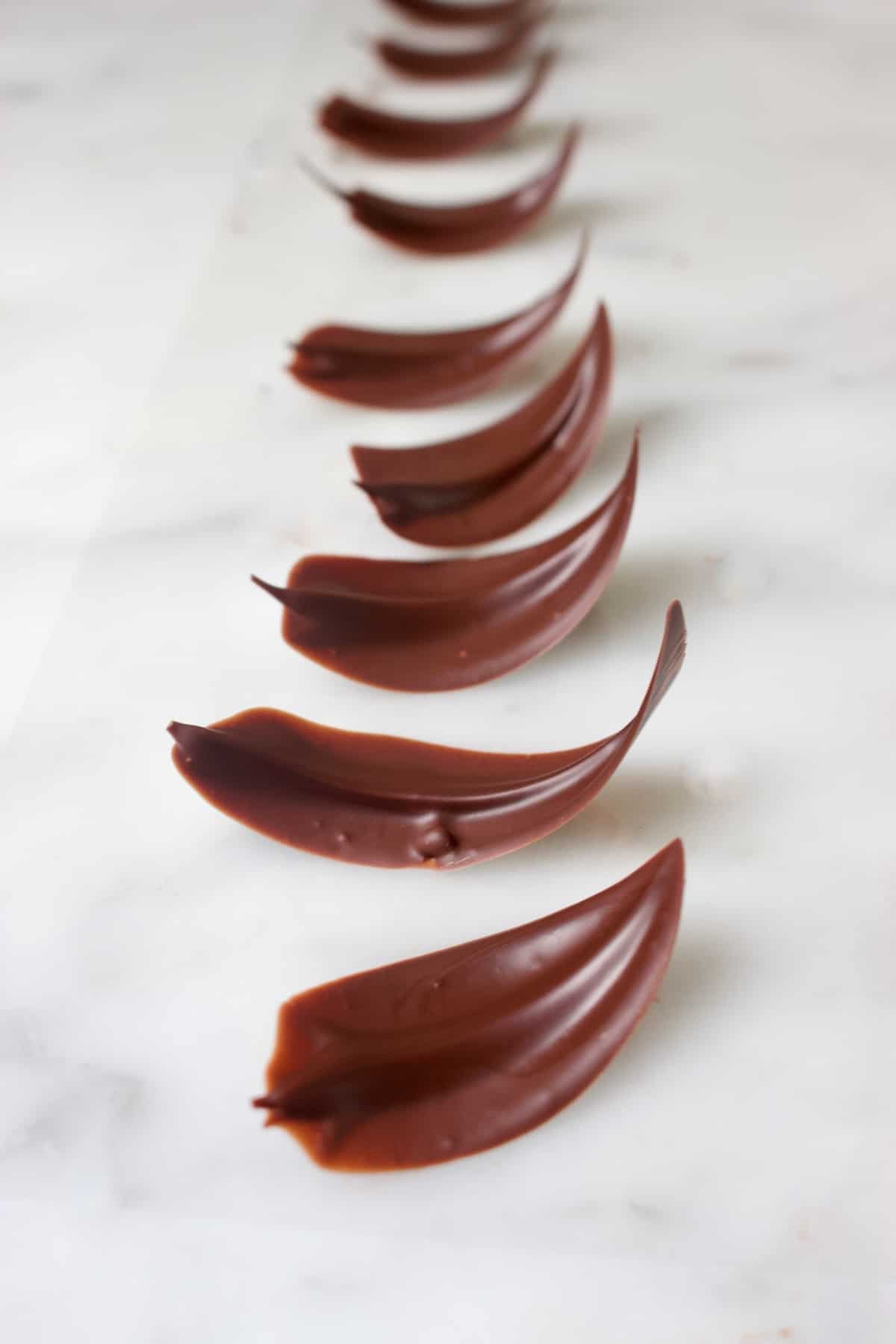 waar dan ook bron gebed Chocolade blaadjes maken als taartdecoratie - PaTESSerie.com