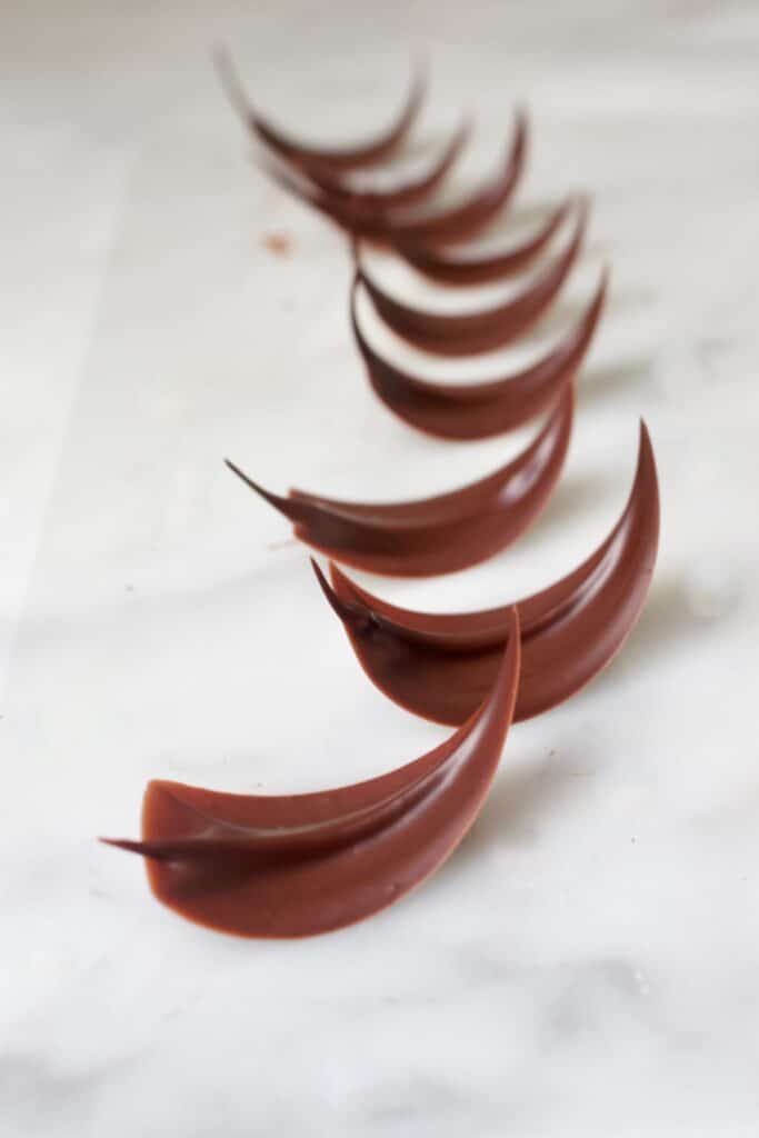 waar dan ook bron gebed Chocolade blaadjes maken als taartdecoratie - PaTESSerie.com